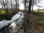 Mosbeek